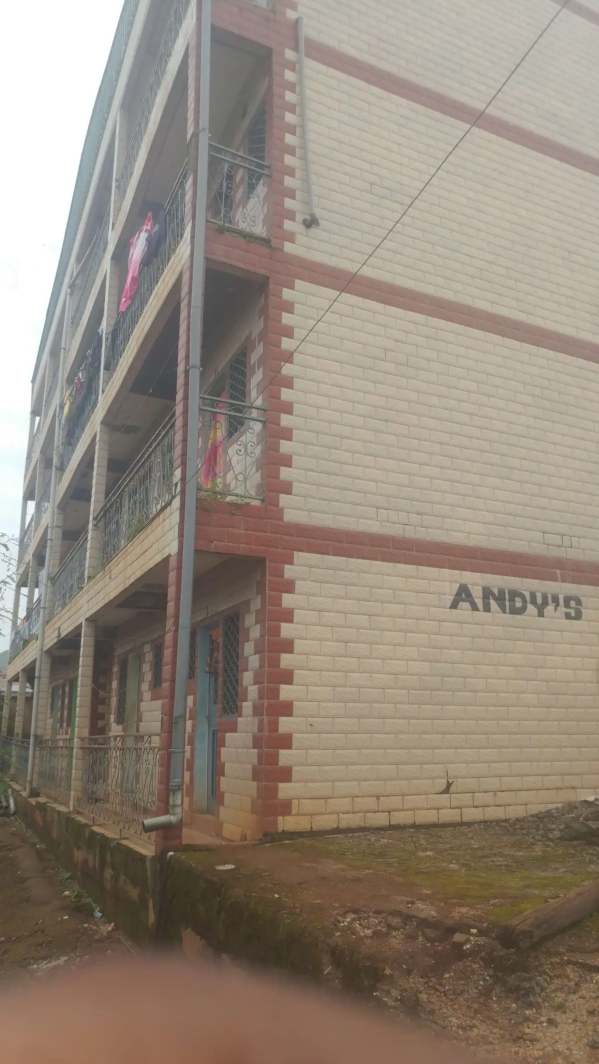 Andy Hostel